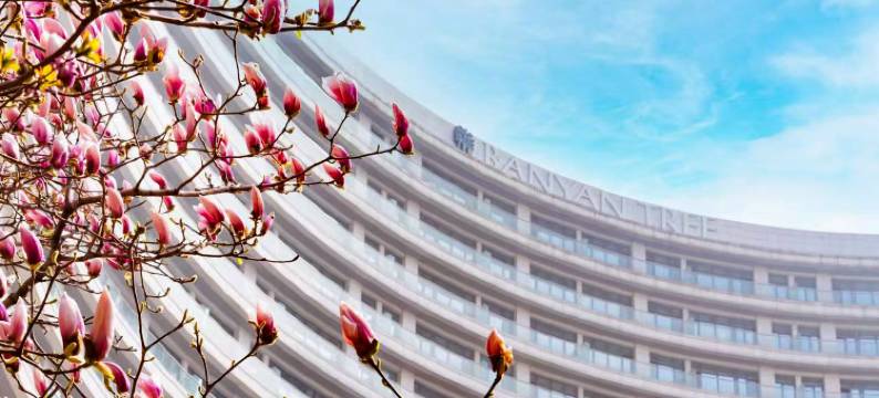 天津海河悦榕庄图片