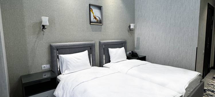 德维拉酒店(De Villa Hotel)图片