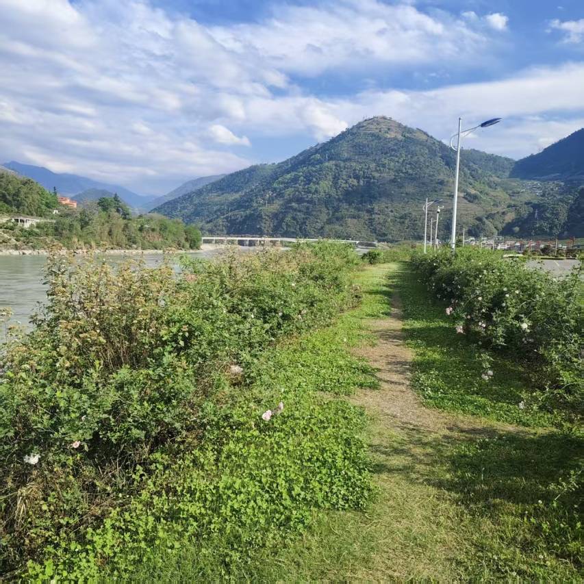 安顺鑫泊酒店(石棉安顺场店)图片