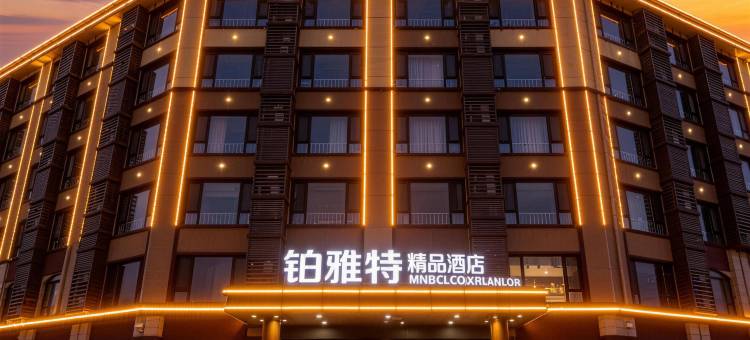 潍坊铂雅特精品酒店(坊子潍柴雷沃店)图片