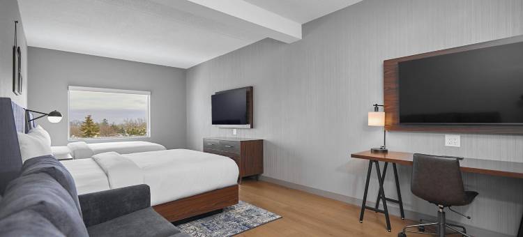 福朋喜来登奥克维尔酒店(Four Points by Sheraton Oakville)图片