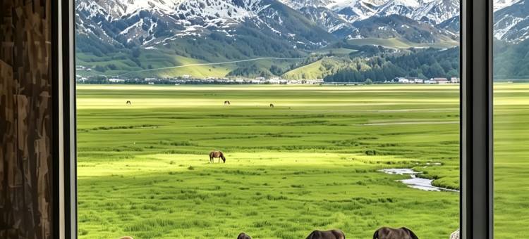 香格里拉香颂chanson·牧云畔海庄园(纳帕海景区店)图片