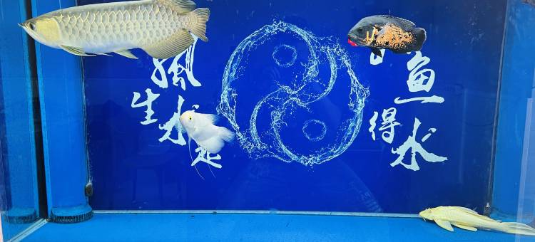 遇尚·青年公寓图片