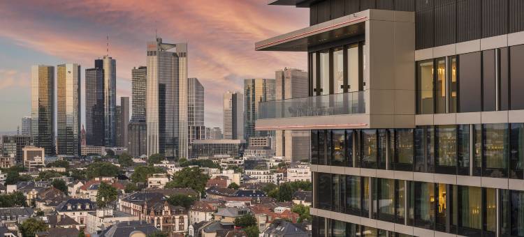 法兰克福美利亚酒店(Melia Frankfurt City)图片