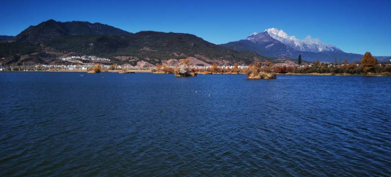 小喜宅客栈(丽江古城店)图片