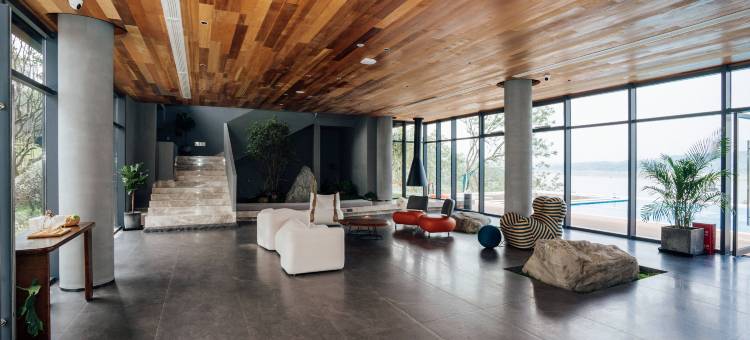 树蛙部落(泸州店)图片