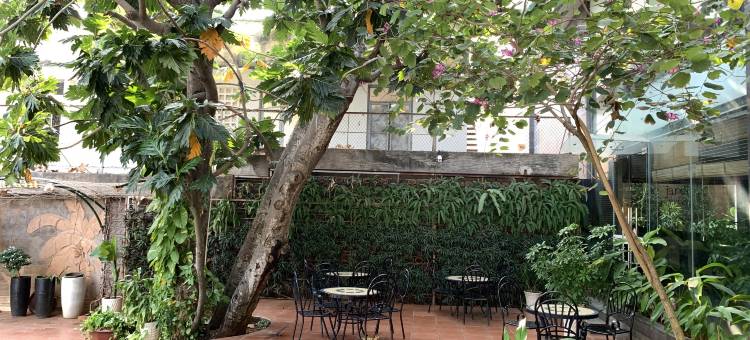 头顿孟青假日酒店(Muong Thanh Holiday Vung Tau)图片