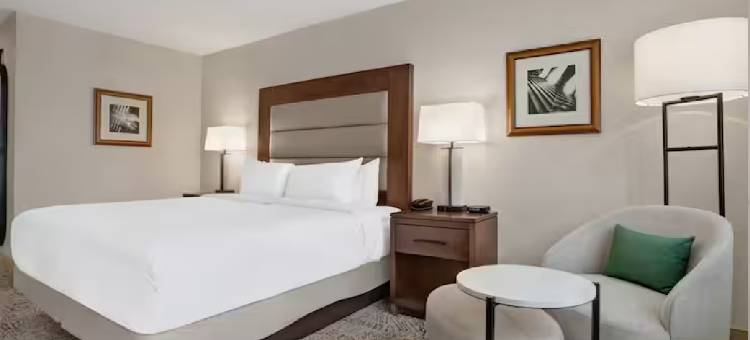 阿灵顿国家登陆希尔顿酒店(Hilton Arlington National Landing)图片