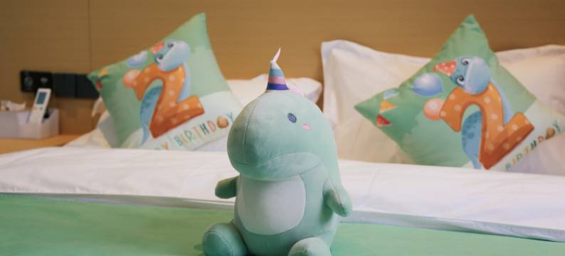 星悦民宿(方特恐龙博物馆店)图片