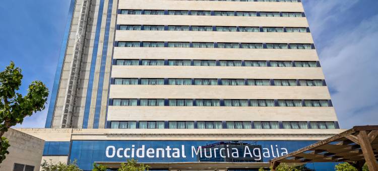 阿加利亚酒店(Occidental Murcia Agalia)图片