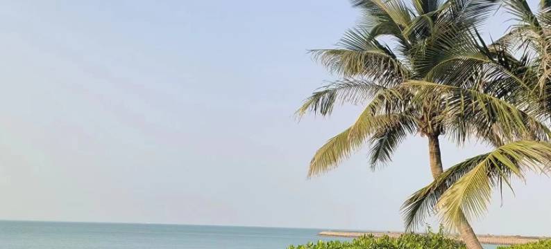 晨晖商务酒店(海南国际会展中心店)图片