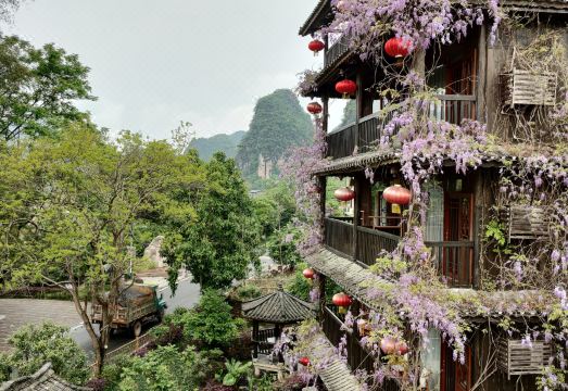 Tea Cozy Hotel Hotel Overview