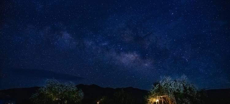 香格里拉达拉牧场图片