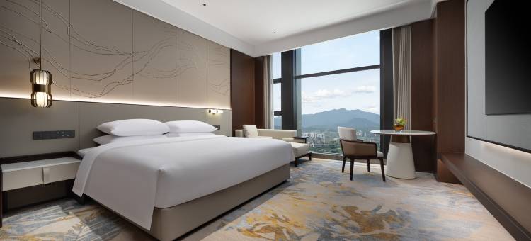 缙云辰舜开元名都酒店图片