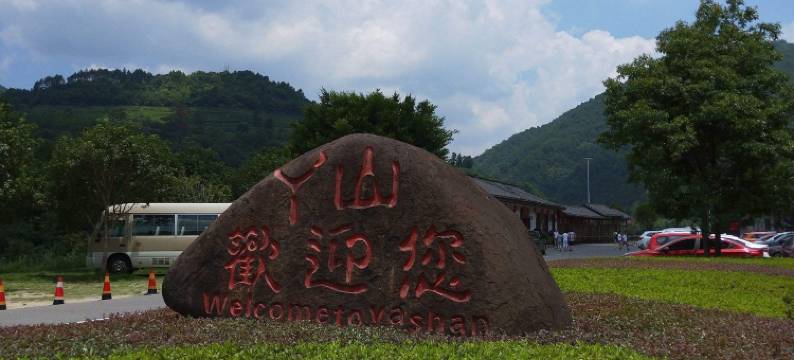 嘉清国际酒店(大余汽车站牡丹亭店)图片