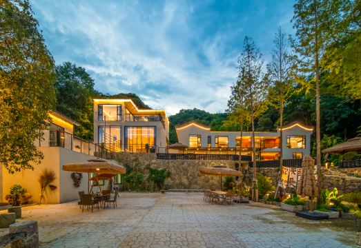 龙吟古树茶宿外景图