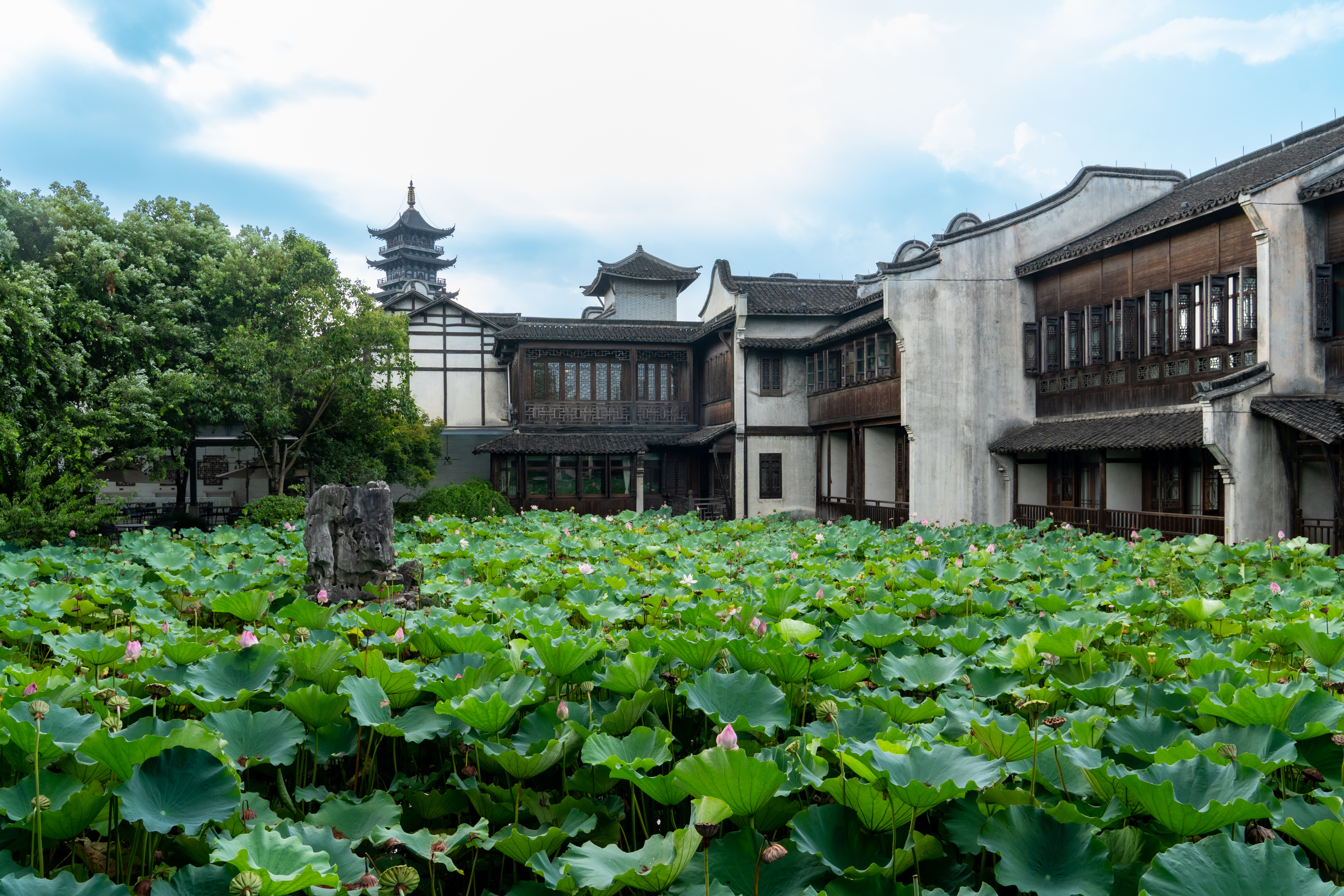 Dockside Boutique HotelHotel Overview