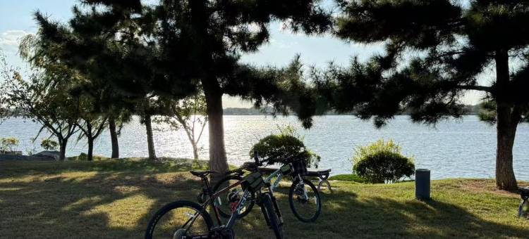 荣成悠享酒店(成山大道樱花湖店)图片