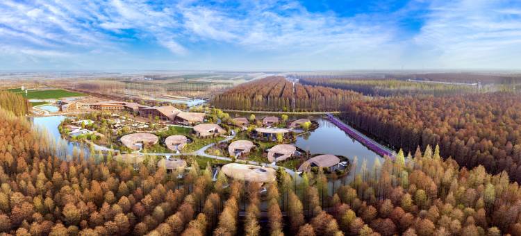 金湖水上森林·港府君澜温泉度假酒店图片