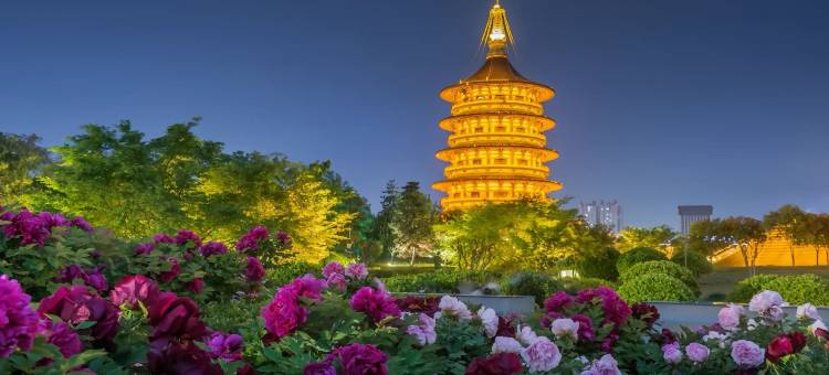 洛阳香山乐居酒店(洛邑古城天堂明堂店)图片