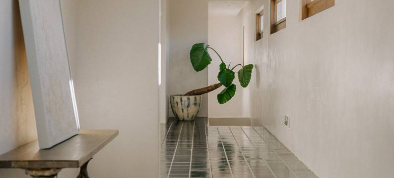 大理•张三的歌海景民宿(磻溪S湾洱海生态廊道店)图片