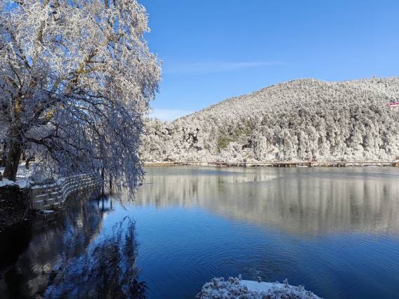 庐山高逸酒店(牯岭街索道上站台店)图片