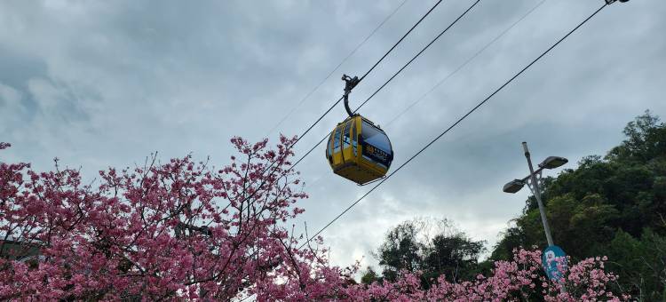 日月潭全家湖畔渡假山莊图片