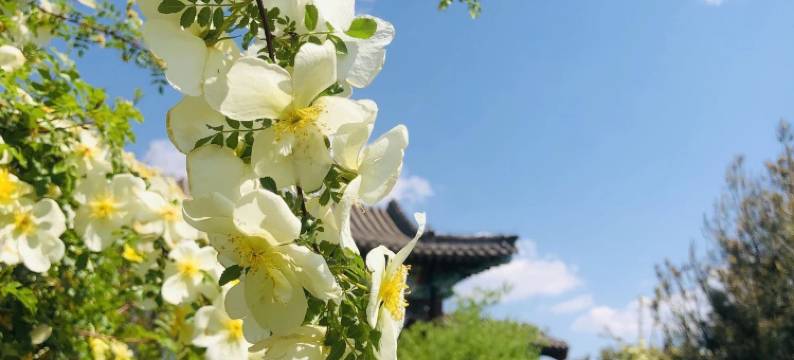 天津滨海一号酒店图片