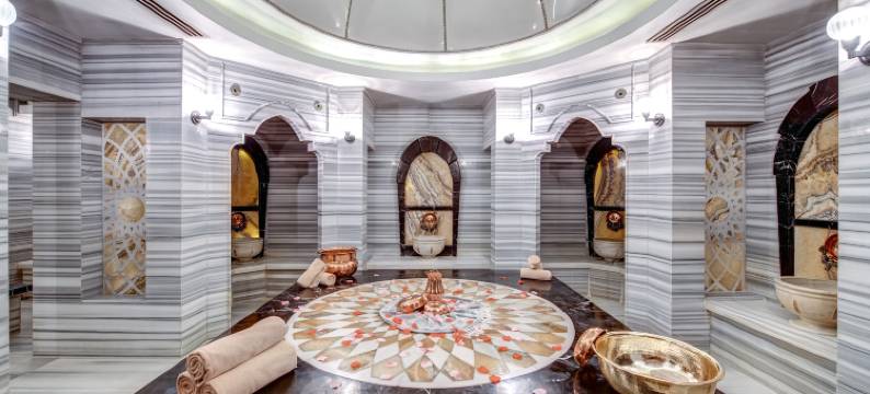塔克西姆极乐世界酒店(The Elysium Taksim)图片
