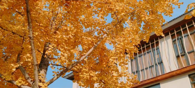 倚然山居(长兴八都岕店)图片