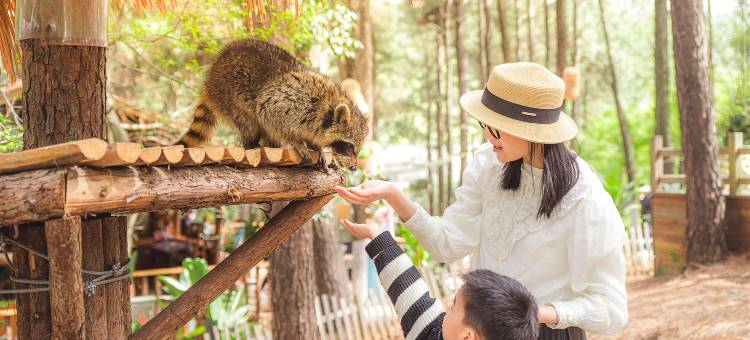 茅山森林世界度假村小熊猫庄园酒店图片