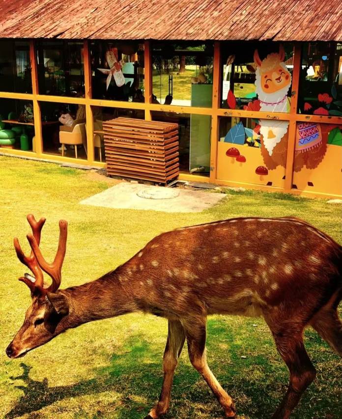 眉县太白山逸境假日温泉酒店图片