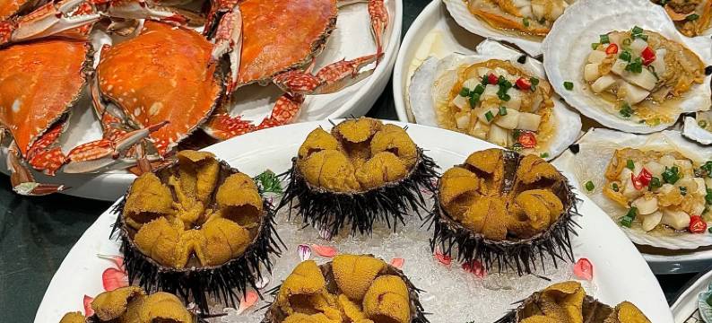 獐子岛晨苑鱼家图片