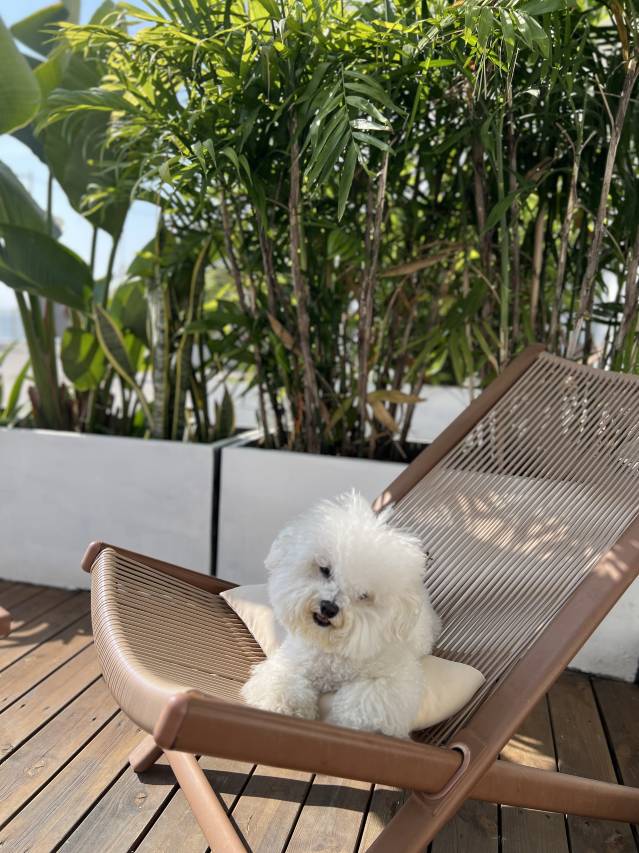 白房子·深圳南澳沙滩海景美宿图片