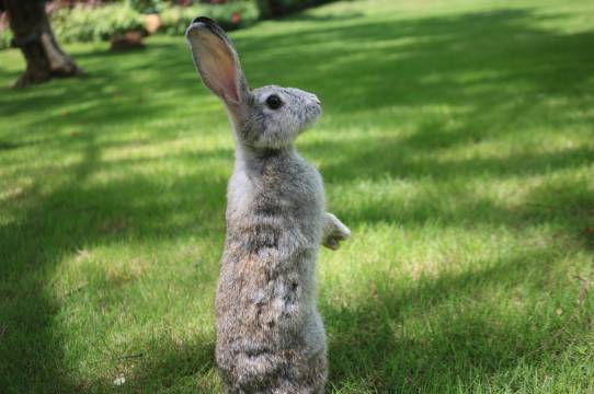 海南清水湾乌兰度假酒店图片