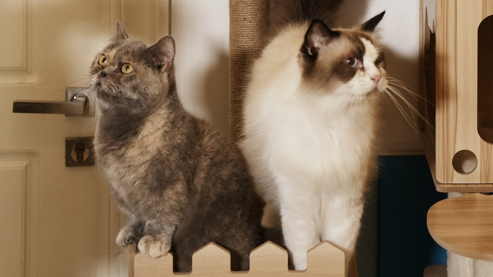 Crowne Plaza Qingdao Ocean Spring Resort Over view