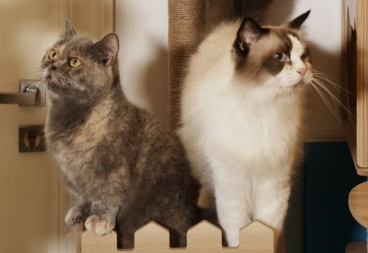 Crowne Plaza Qingdao Ocean Spring Resort Hotel Overview