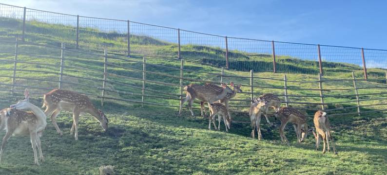 仰天湖乡薇莎民宿图片