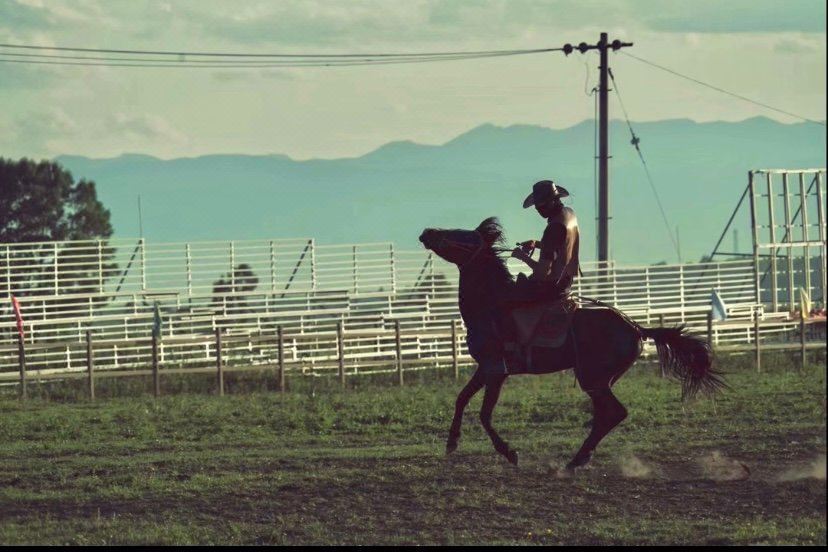 Zhaosu Wanghu Manor Hotel Overview