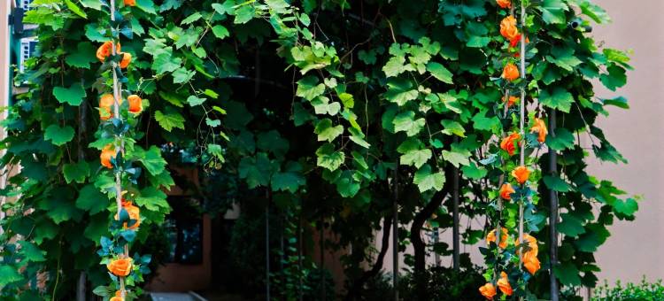 桔子酒店(北京马甸桥地铁站店)图片