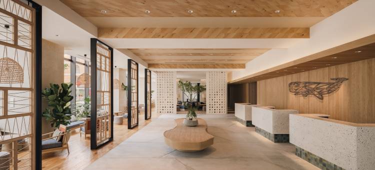 THE NEST那霸(THE NEST NAHA)图片