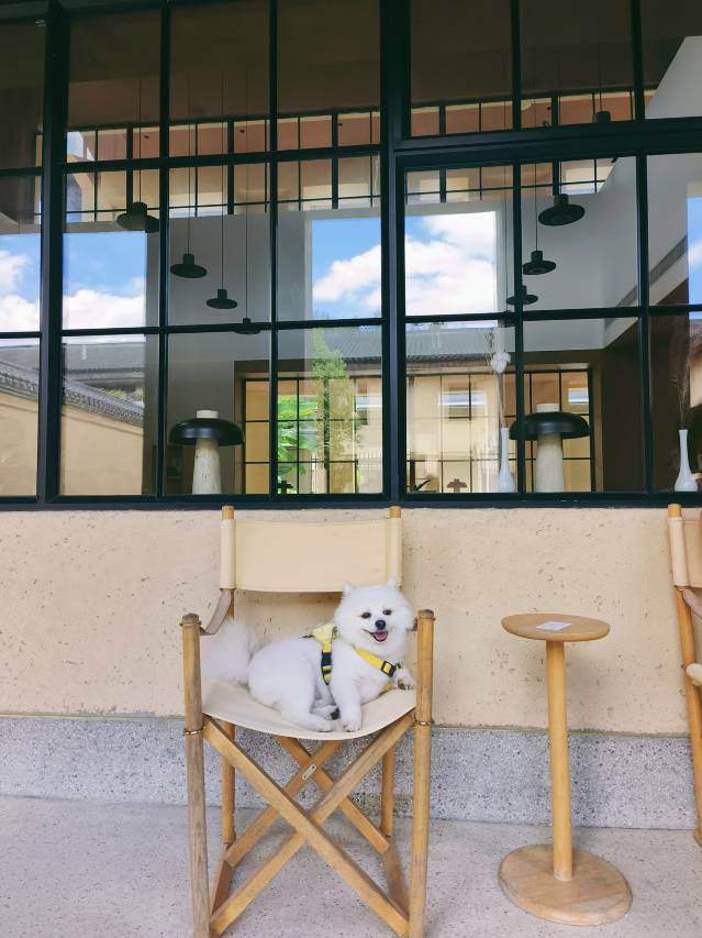 过云山居·龙南围屋图片