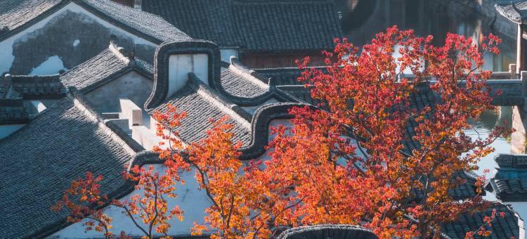 濮院时尚古镇秀水客栈图片