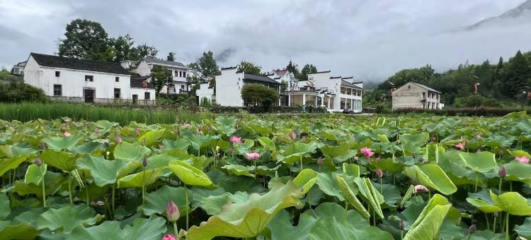 古竹山水精品民宿图片