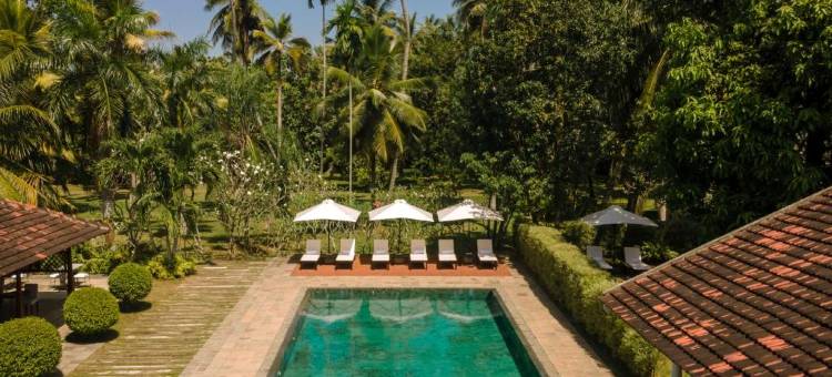 悠阁·蔚岸邸(尼甘布)(Uga Riva - Negombo)图片