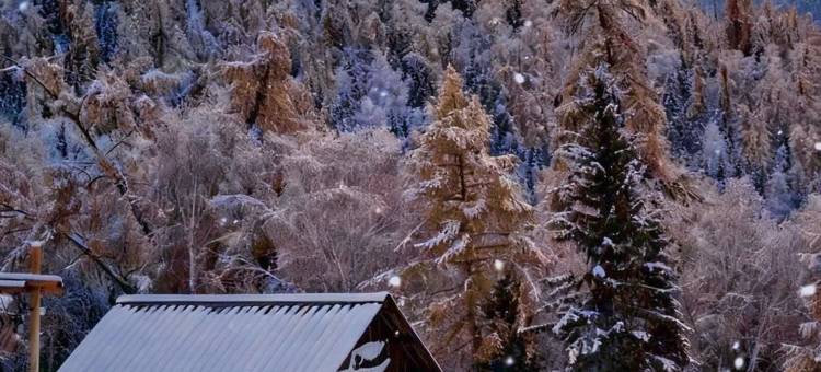 塔尔民宿(白哈巴店)图片