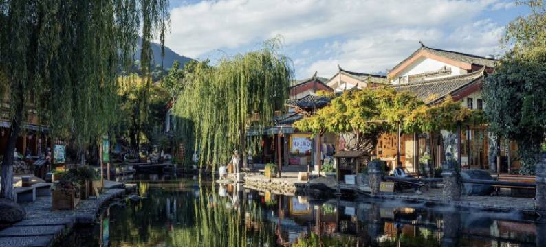 花筑·九品堂ㅣ百年古树Century Tree·森氧疗愈院墅(束河古镇店)图片