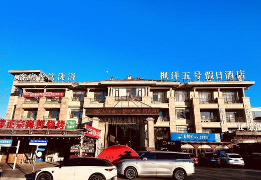 枫洋五号酒店（大连金石滩发现王国店）外景图