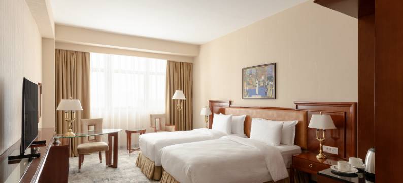 让斯温德姆华美达广场酒店(Ramada Plaza by Wyndham Gence)图片