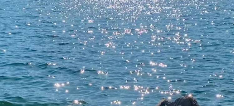 360°览海人生｜大理山海云文化艺术海景民宿·SEASKY VISTA图片